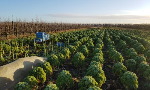 Les 10: Landbouw en faunaschade